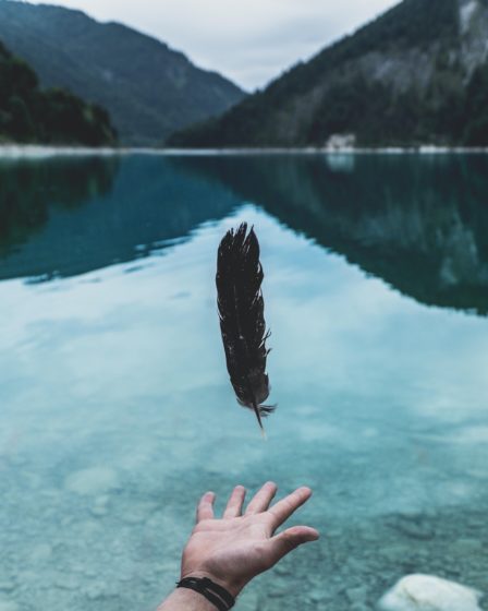 Hand releasing feather at lake