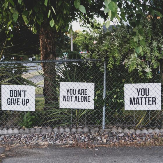 Signs on a fence