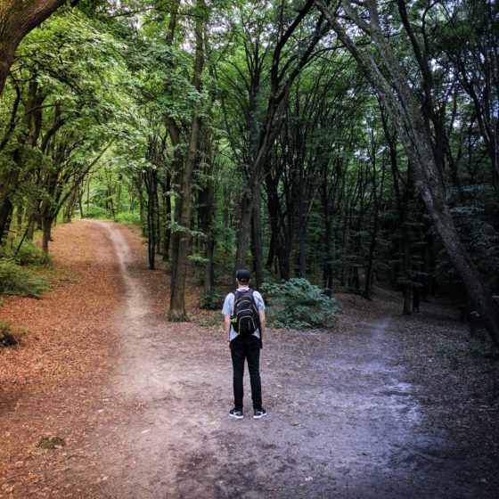 Man in front of two paths