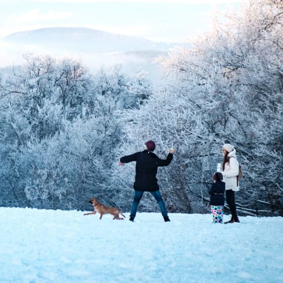 Family in the snow