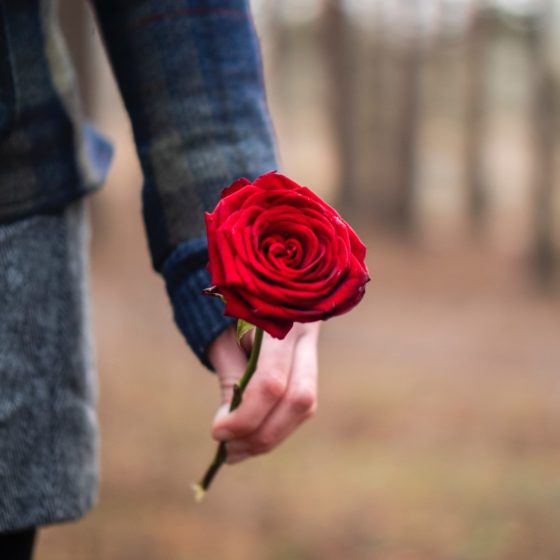 Person holding rose