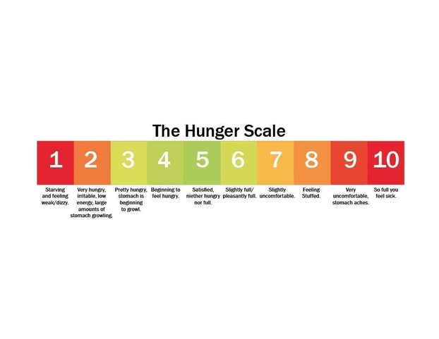 Hunger scale